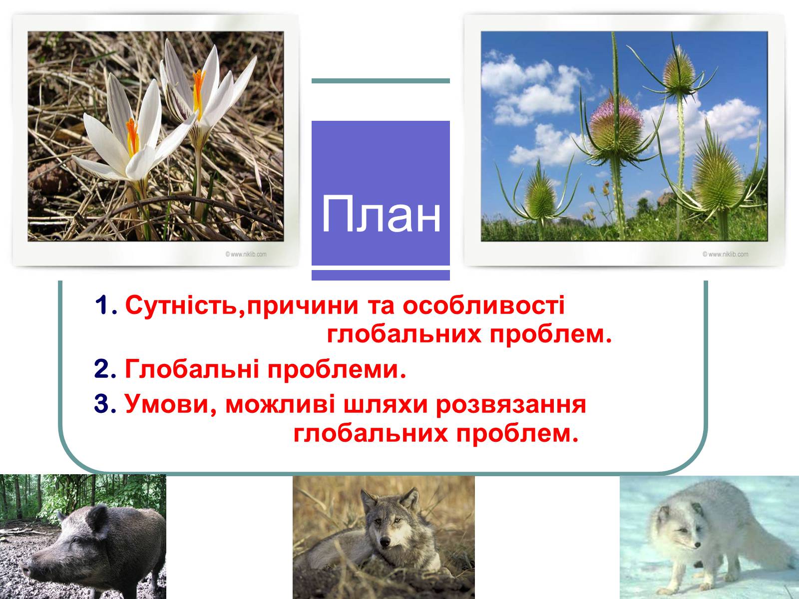 Презентація на тему «Глобальні проблеми людства» (варіант 1) - Слайд #5 Презентація на тему «Глобальні проблеми людства» (варіант 1) - Слайд #5