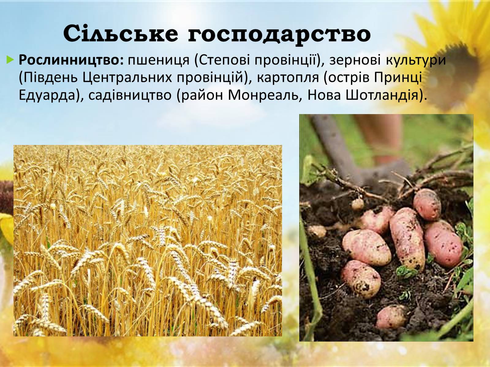 Презентація на тему «Канада» (варіант 14) - Слайд #15 Презентація на тему «Канада» (варіант 14) - Слайд #15
