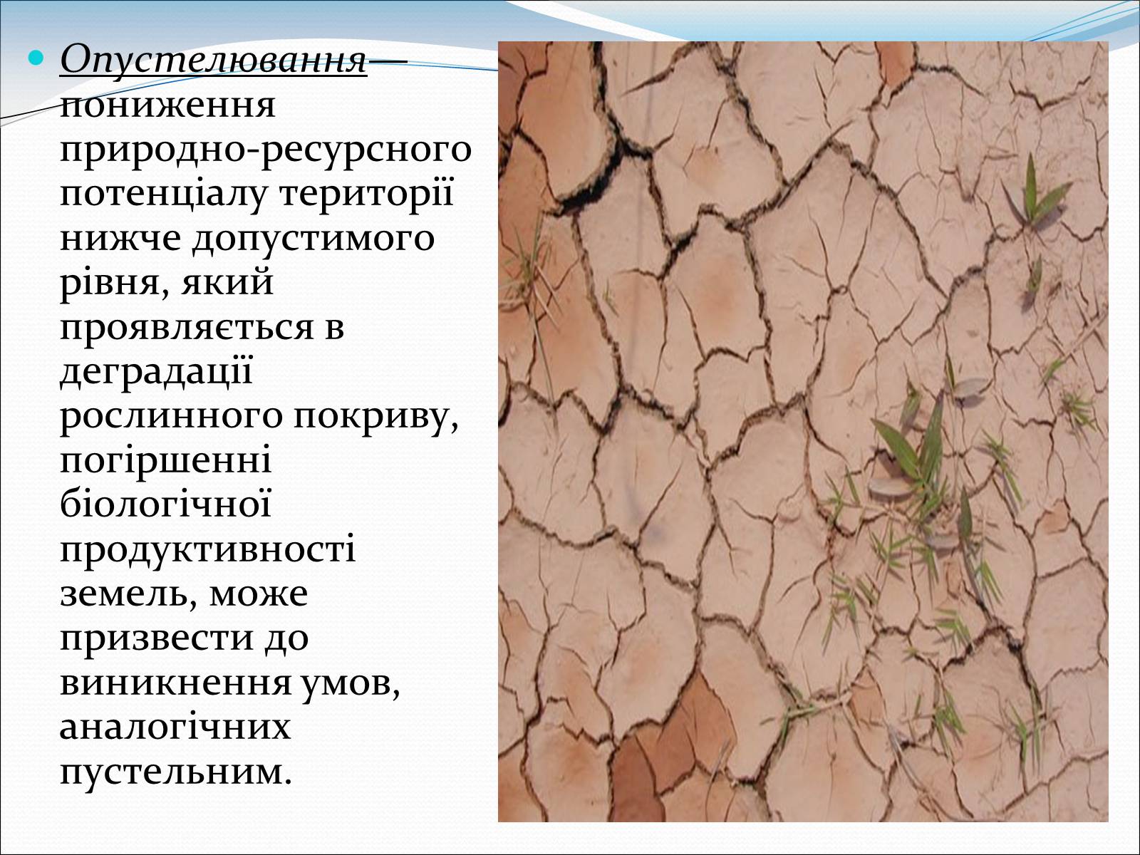 Презентація на тему «Проблема деградації природи» (варіант 1) - Слайд #9 Презентація на тему «Проблема деградації природи» (варіант 1) - Слайд #9