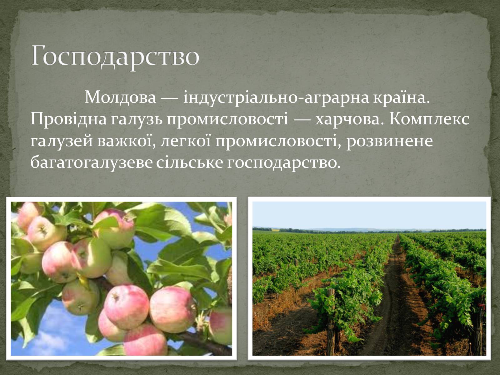 Презентація на тему «Республіка Молдова» (варіант 5) - Слайд #13 Презентація на тему «Республіка Молдова» (варіант 5) - Слайд #13