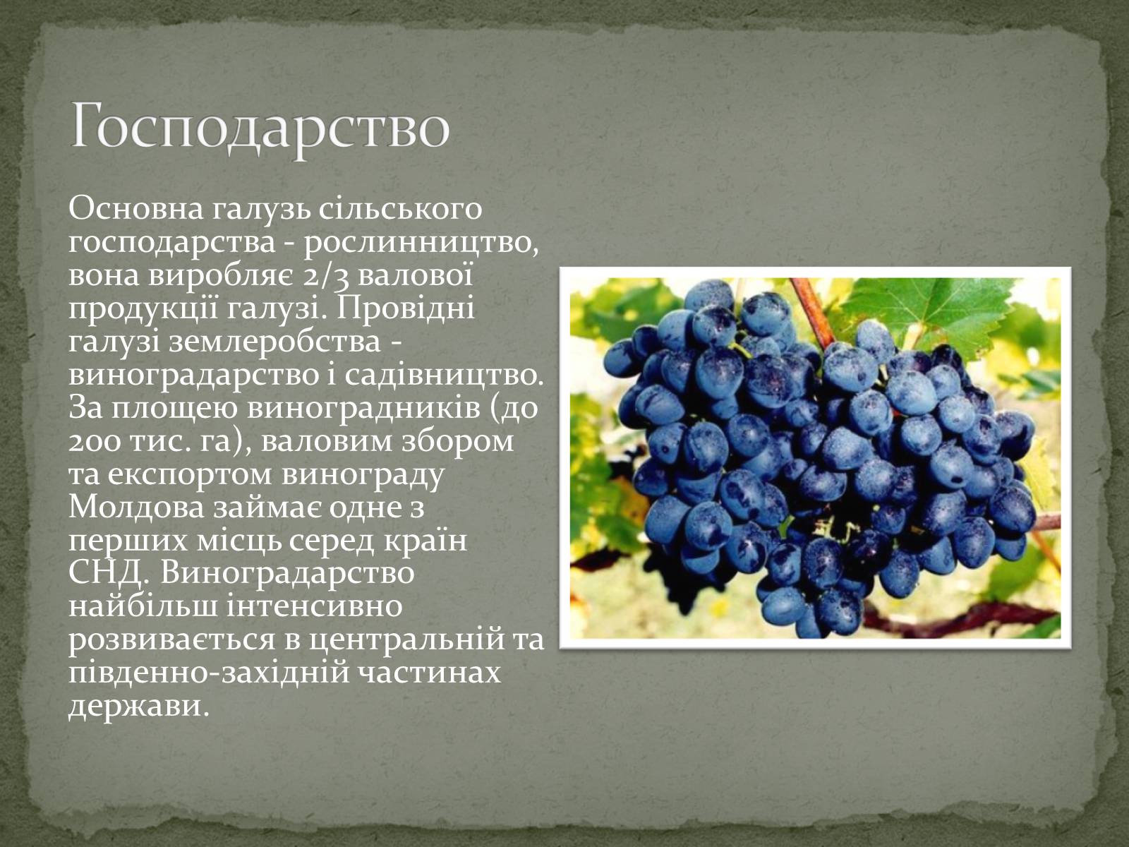 Презентація на тему «Республіка Молдова» (варіант 5) - Слайд #14 Презентація на тему «Республіка Молдова» (варіант 5) - Слайд #14