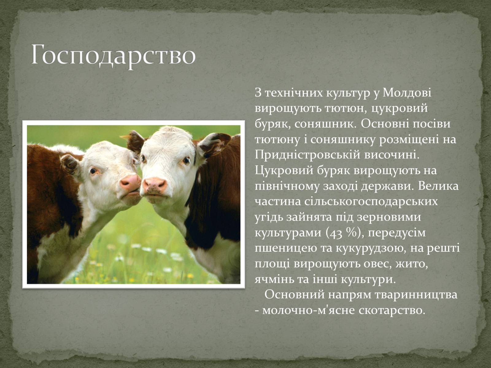 Презентація на тему «Республіка Молдова» (варіант 5) - Слайд #16 Презентація на тему «Республіка Молдова» (варіант 5) - Слайд #16