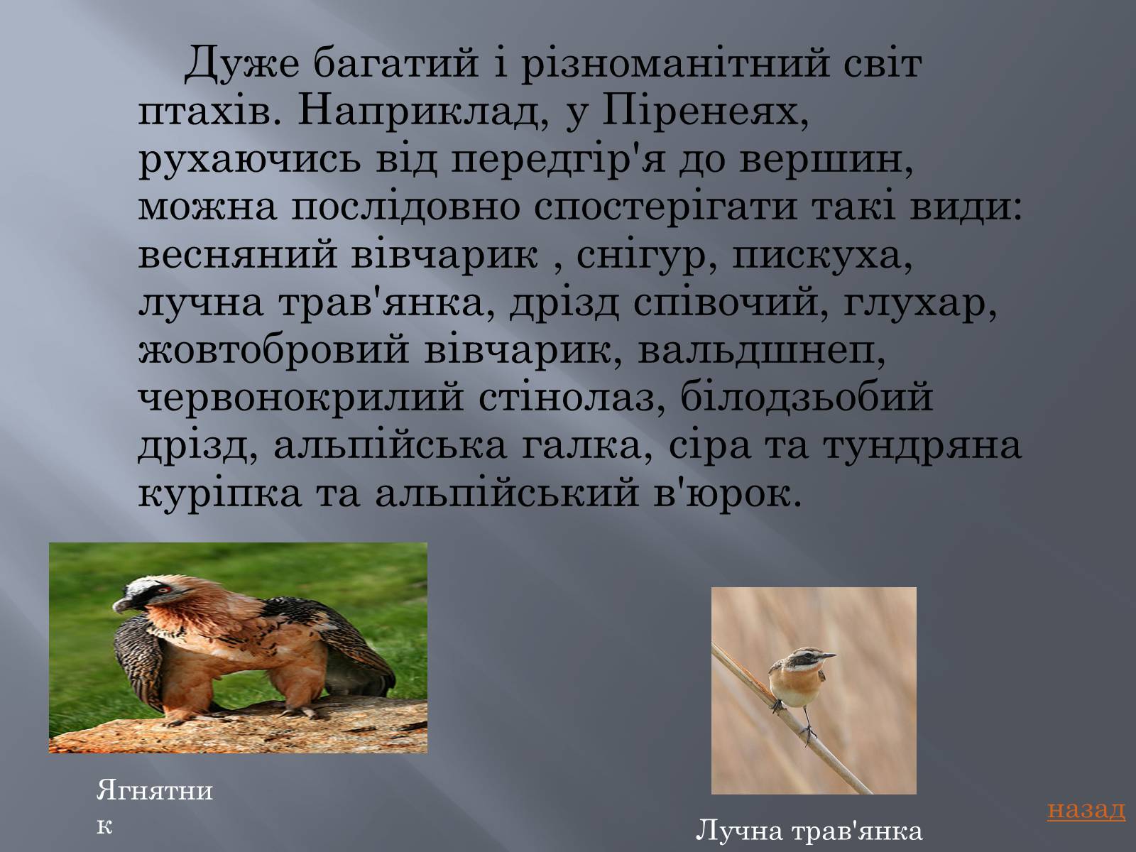 Презентація на тему «Франція» (варіант 13) - Слайд #18 Презентація на тему «Франція» (варіант 13) - Слайд #18