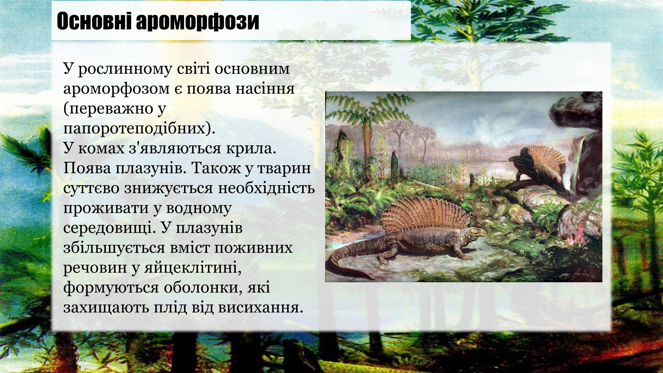 Презентація на тему «Кам’яновугільний період» - Слайд #4 Презентація на тему «Кам’яновугільний період» - Слайд #4