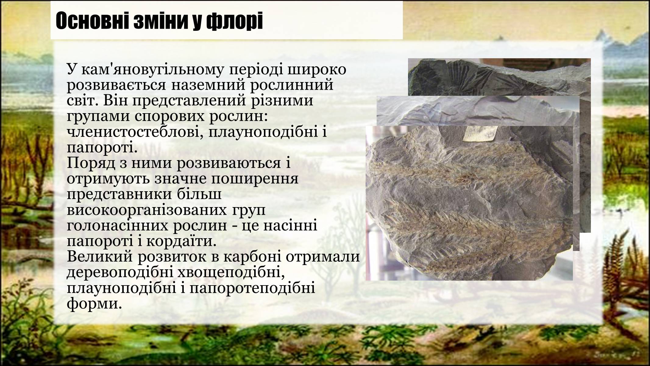 Презентація на тему «Кам’яновугільний період» - Слайд #7 Презентація на тему «Кам’яновугільний період» - Слайд #7