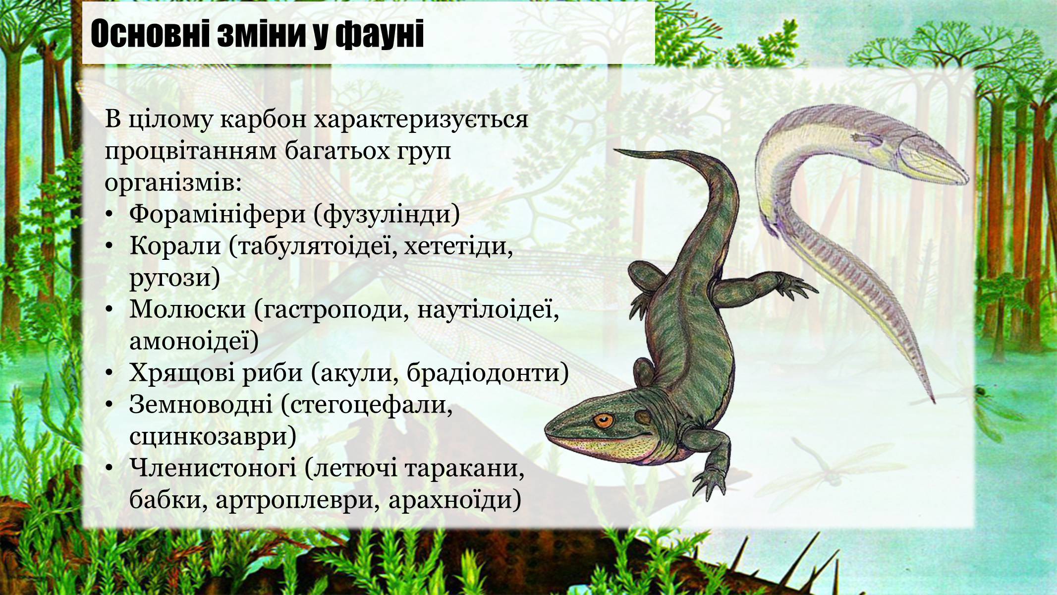 Презентація на тему «Кам’яновугільний період» - Слайд #8 Презентація на тему «Кам’яновугільний період» - Слайд #8