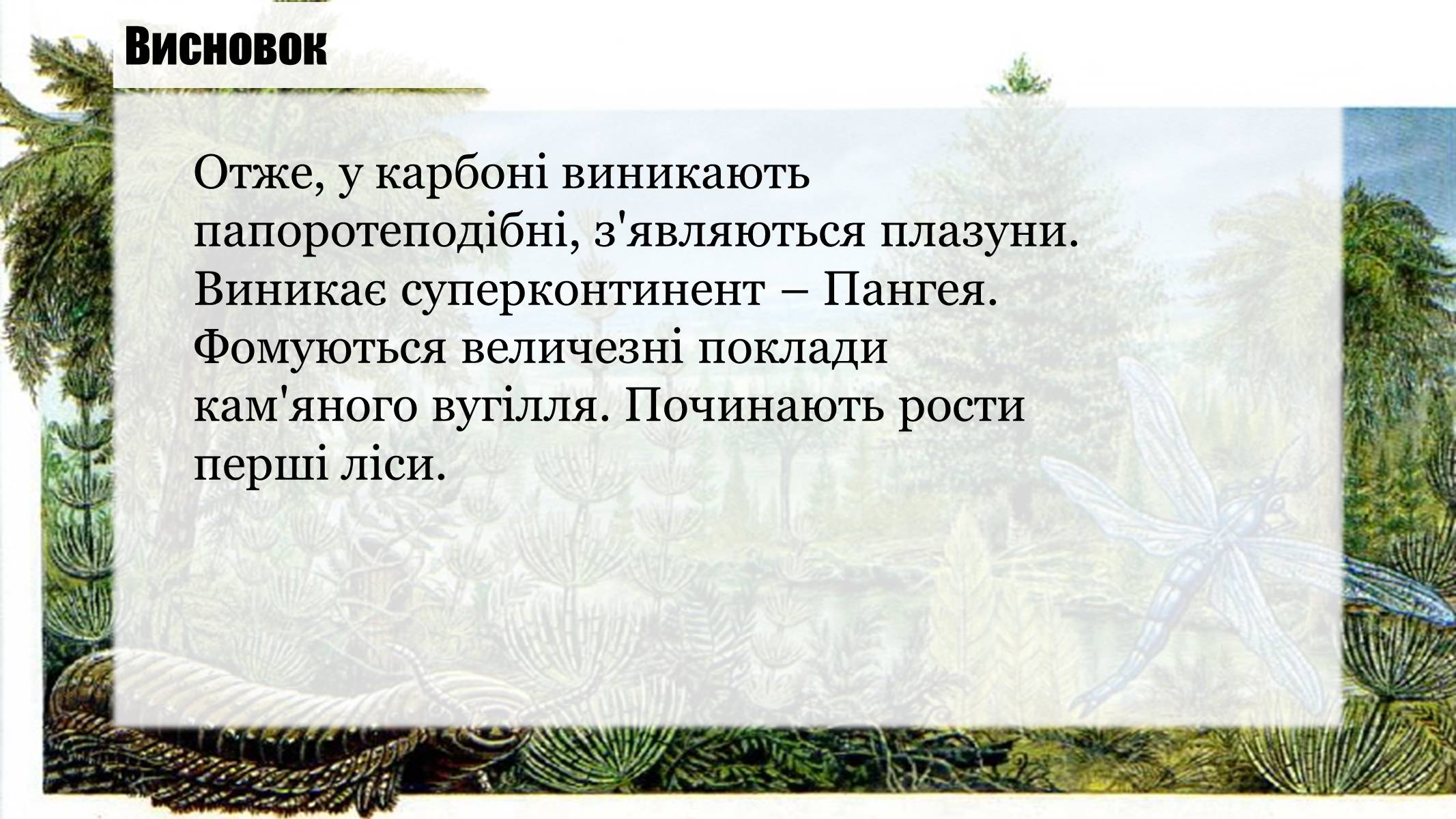 Презентація на тему «Кам’яновугільний період» - Слайд #9 Презентація на тему «Кам’яновугільний період» - Слайд #9