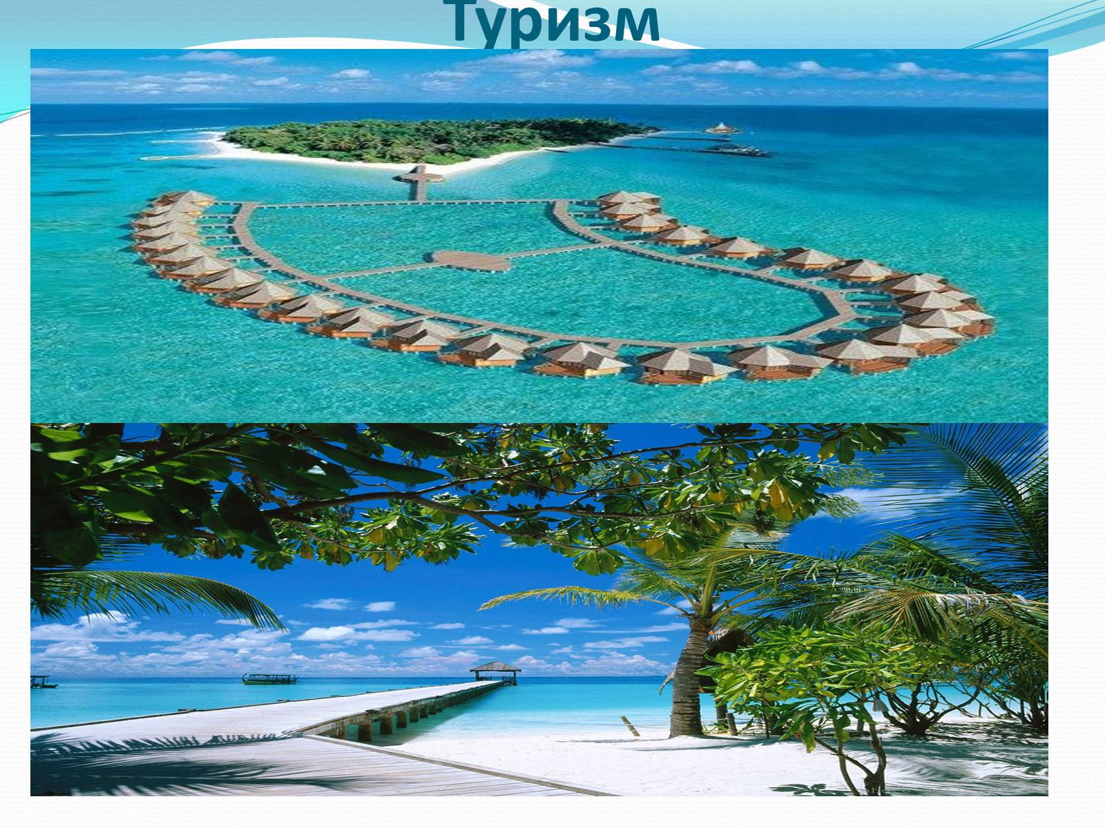 Презентація на тему «Демократична Соціалістична Республіка Шрі-Ланка» - Слайд #11 Презентація на тему «Демократична Соціалістична Республіка Шрі-Ланка» - Слайд #11