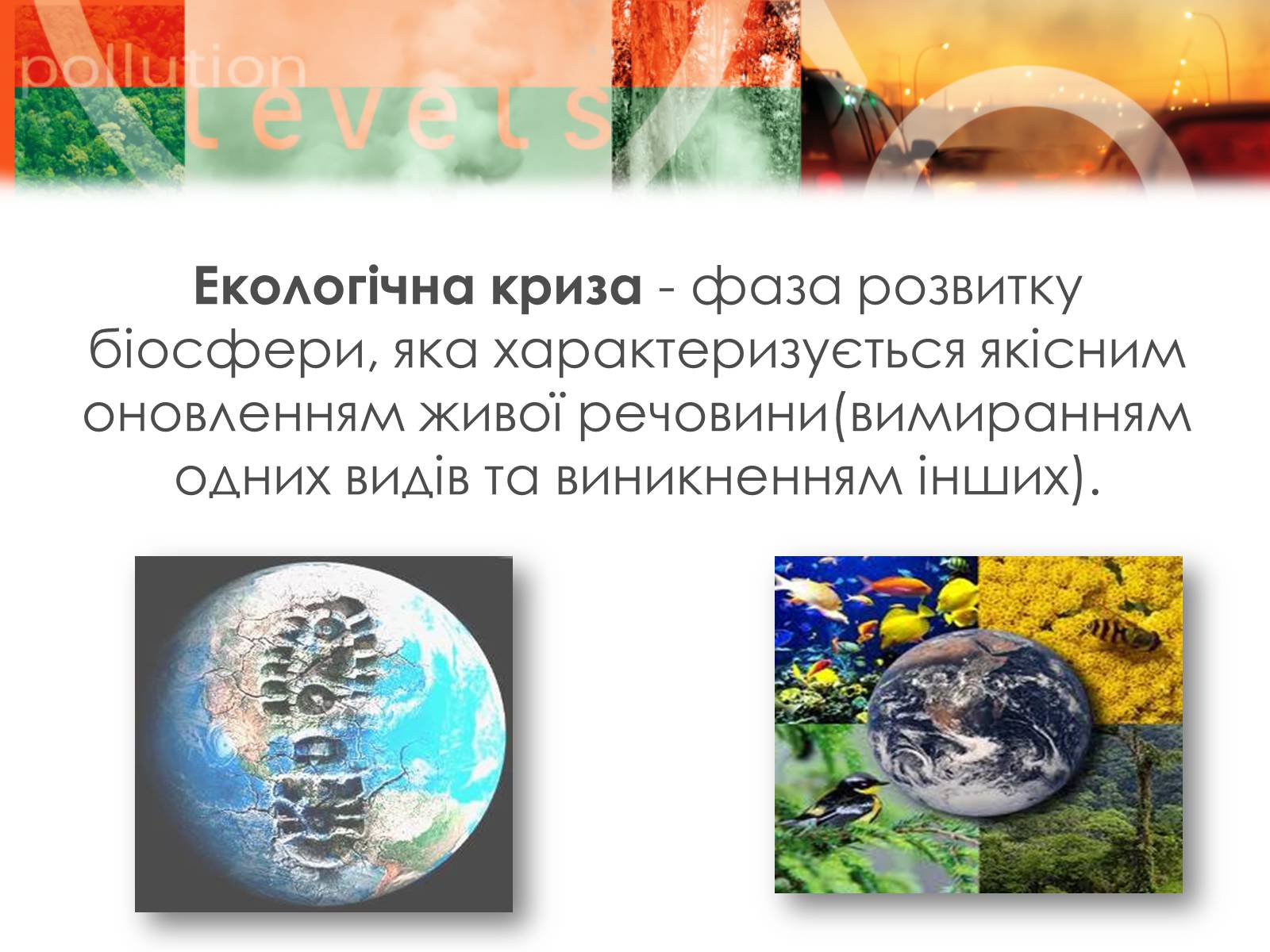 Презентація на тему «Екологічні проблеми» (варіант 8) - Слайд #11 Презентація на тему «Екологічні проблеми» (варіант 8) - Слайд #11