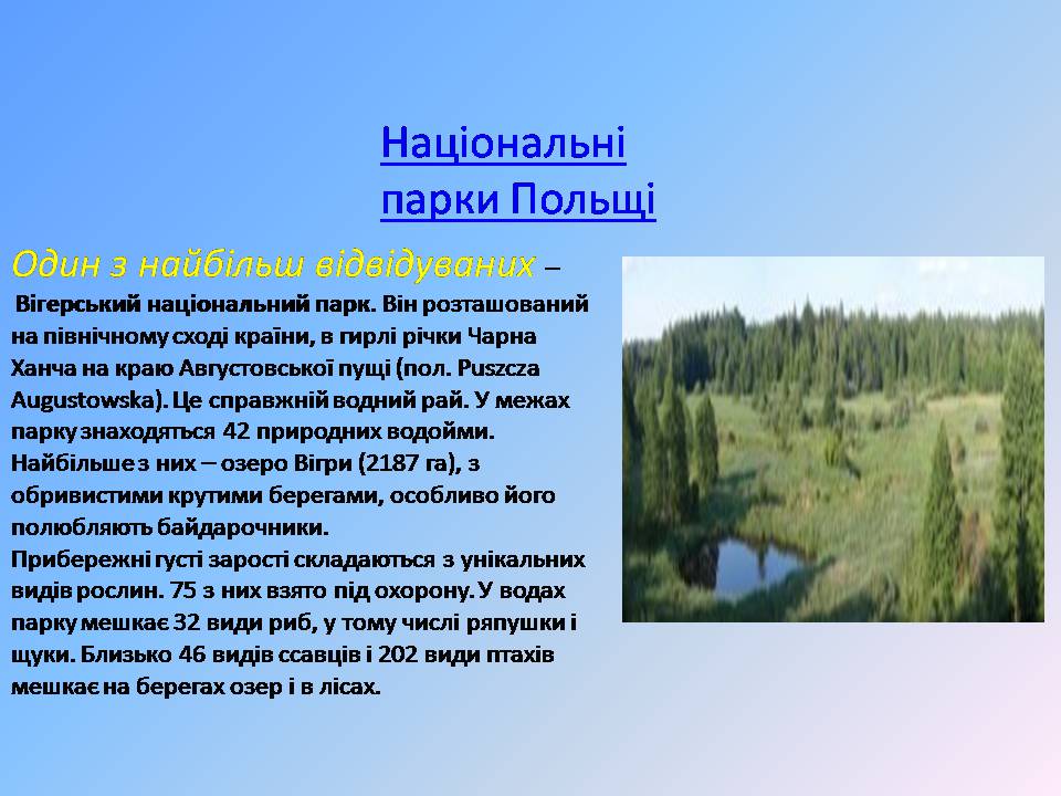 Презентація на тему «Польща» (варіант 21) - Слайд #11 Презентація на тему «Польща» (варіант 21) - Слайд #11