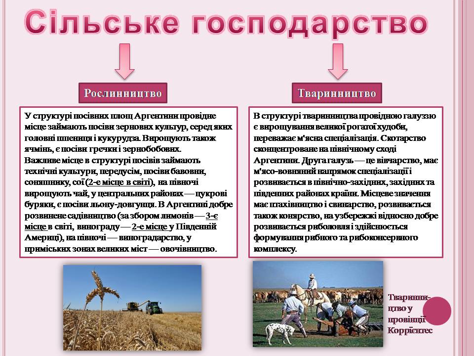 Презентація на тему «Аргентина» (варіант 7) - Слайд #16 Презентація на тему «Аргентина» (варіант 7) - Слайд #16