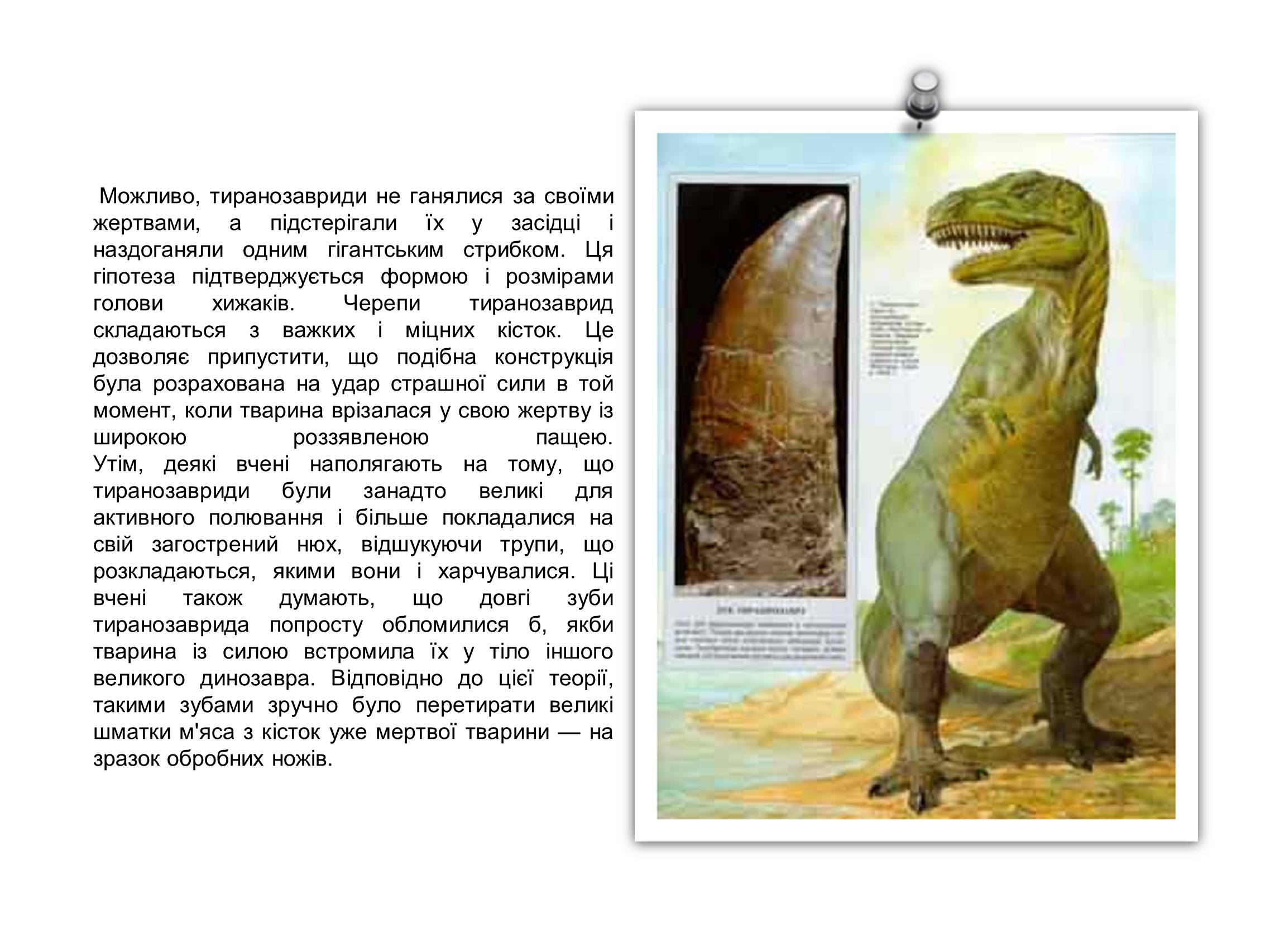 Презентація на тему «Крейдяний період» (варіант 1) - Слайд #15 Презентація на тему «Крейдяний період» (варіант 1) - Слайд #15