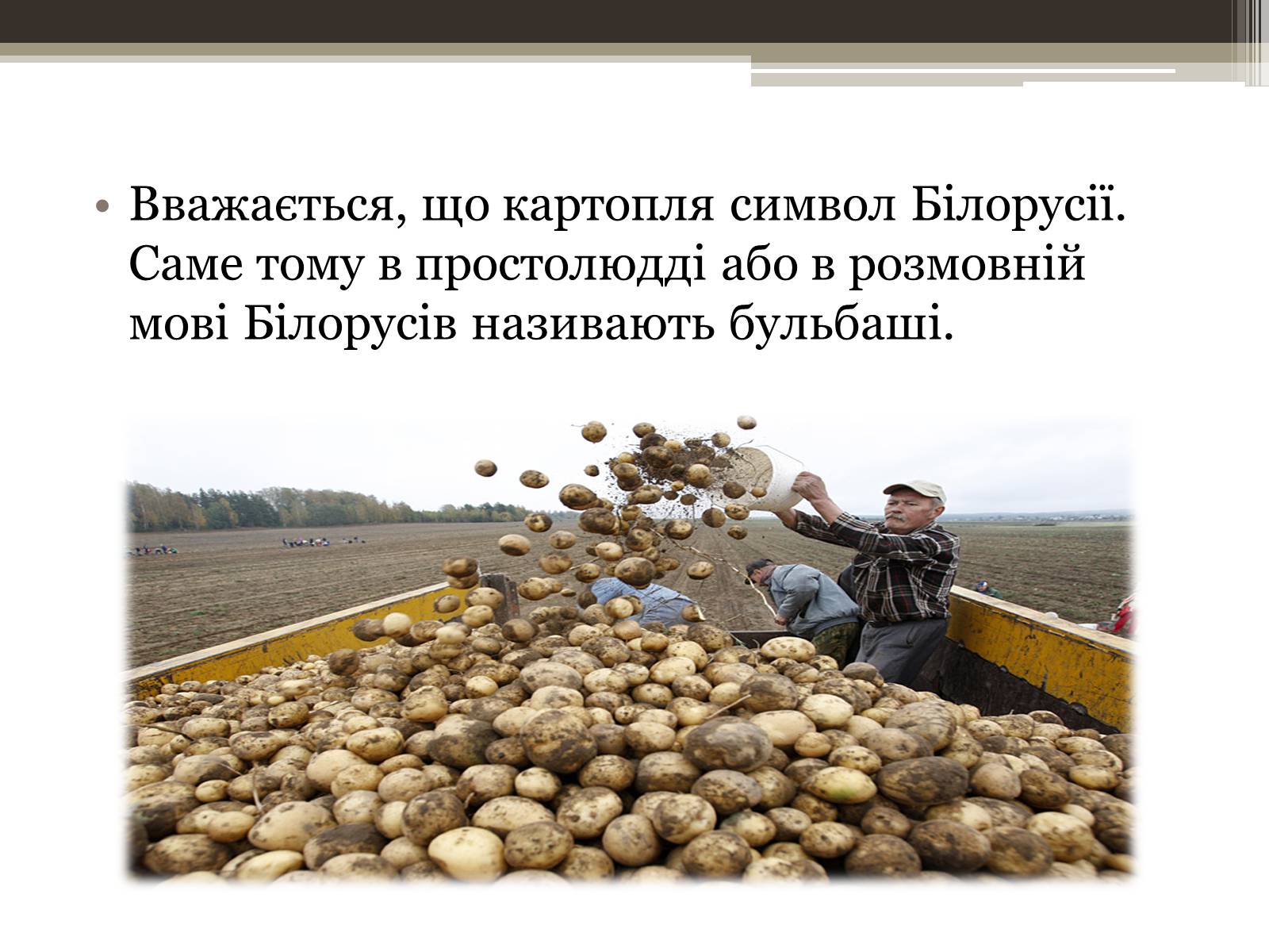 Презентація на тему «12 фактів про Білорусь» - Слайд #10 Презентація на тему «12 фактів про Білорусь» - Слайд #10