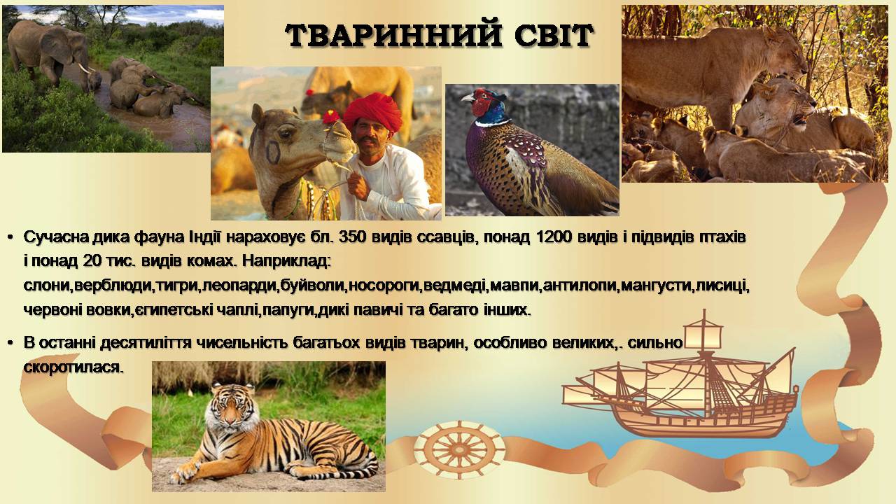 Презентація на тему «Індія» (варіант 24) - Слайд #10 Презентація на тему «Індія» (варіант 24) - Слайд #10