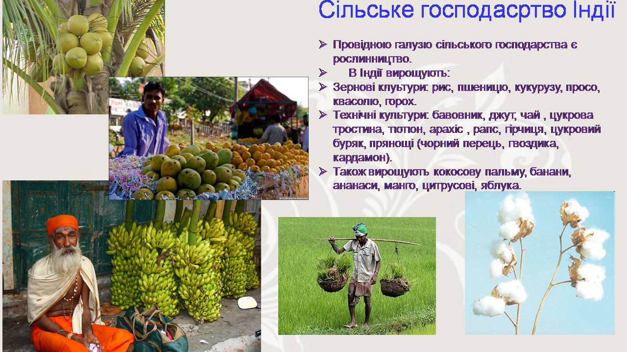 Презентація на тему «Індія» (варіант 24) - Слайд #13 Презентація на тему «Індія» (варіант 24) - Слайд #13