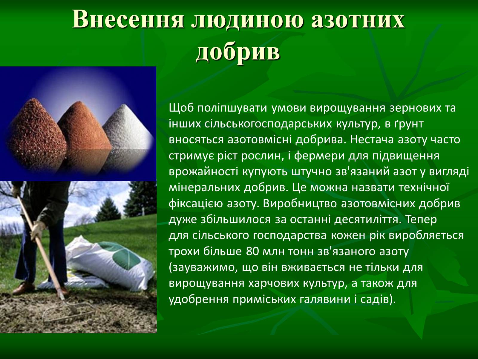 Презентація на тему «Цикл нітрогену в природі» - Слайд #9 Презентація на тему «Цикл нітрогену в природі» - Слайд #9
