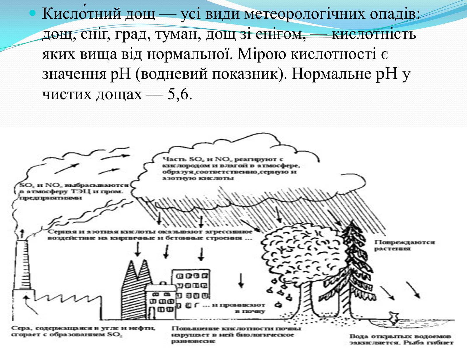 Презентація на тему «Проблема деградації природніх компонентів» - Слайд #12 Презентація на тему «Проблема деградації природніх компонентів» - Слайд #12