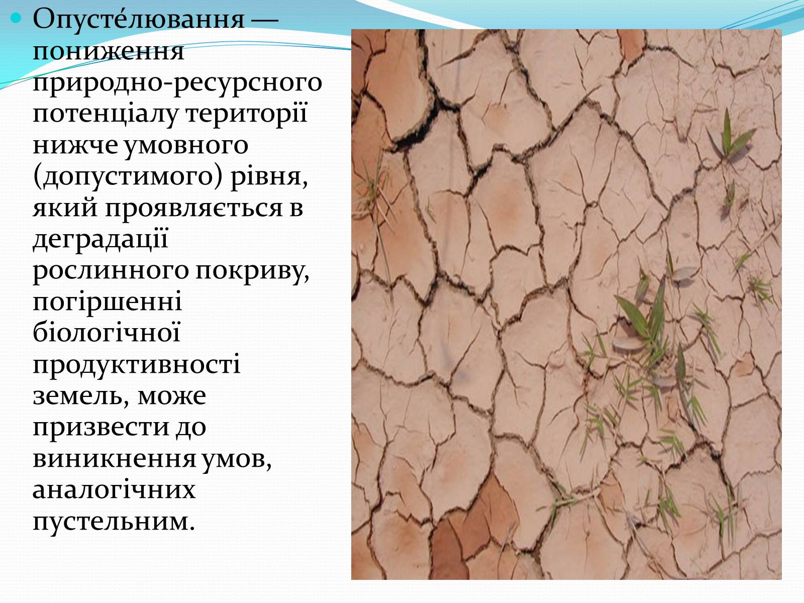 Презентація на тему «Проблема деградації природніх компонентів» - Слайд #14 Презентація на тему «Проблема деградації природніх компонентів» - Слайд #14