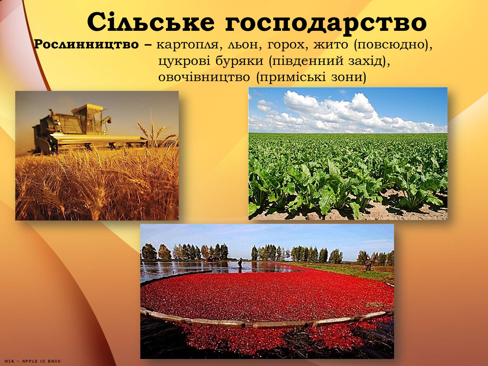 Презентація на тему «Республіка Білорусь» (варіант 1) - Слайд #14 Презентація на тему «Республіка Білорусь» (варіант 1) - Слайд #14