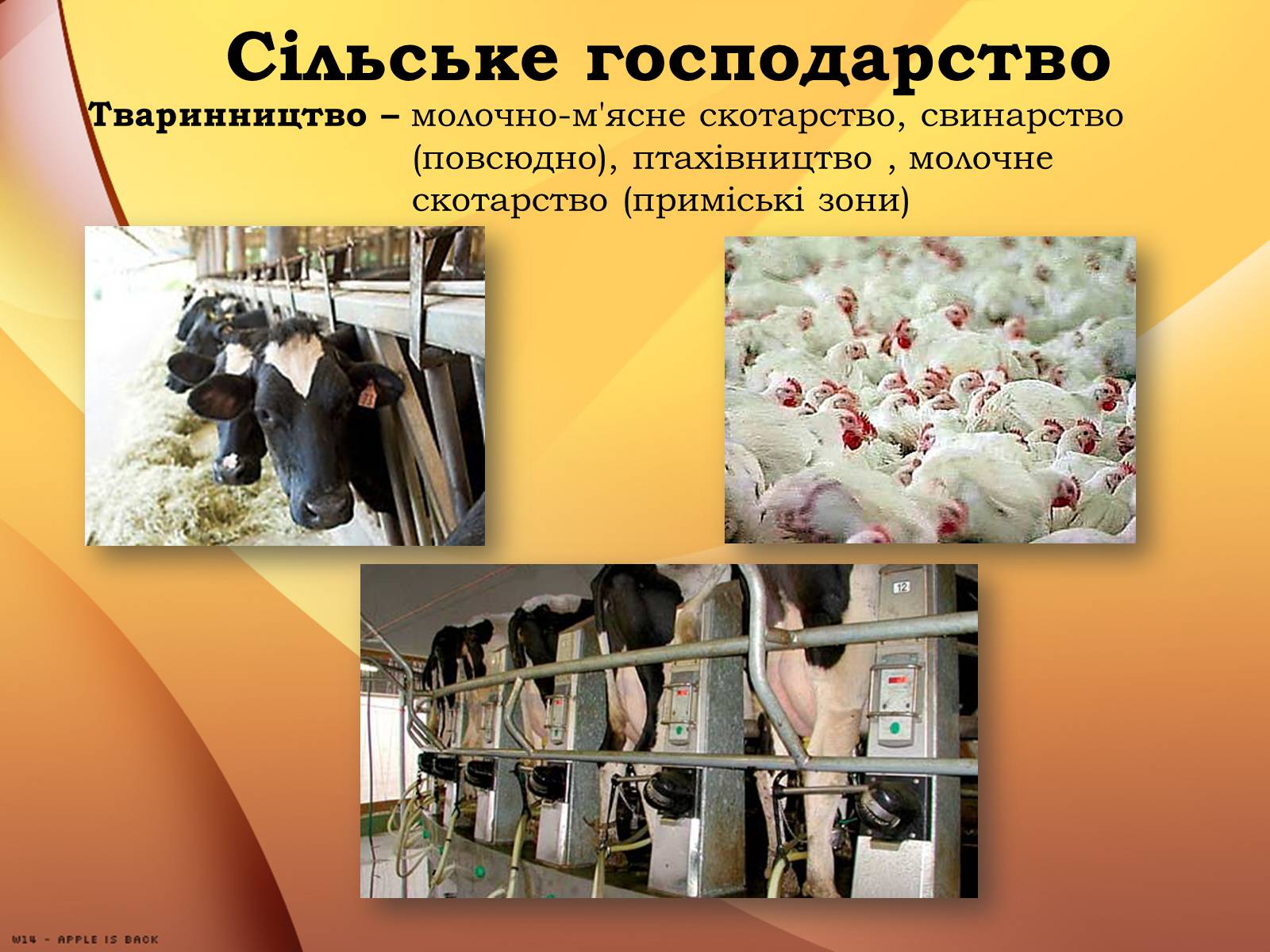 Презентація на тему «Республіка Білорусь» (варіант 1) - Слайд #15 Презентація на тему «Республіка Білорусь» (варіант 1) - Слайд #15