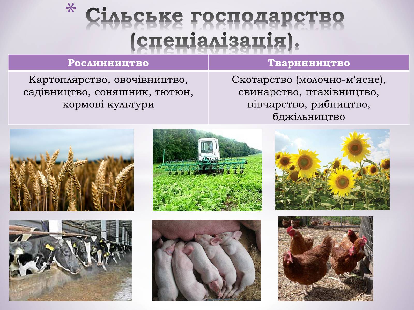 Презентація на тему «Подільський економічний район» (варіант 1) - Слайд #20 Презентація на тему «Подільський економічний район» (варіант 1) - Слайд #20