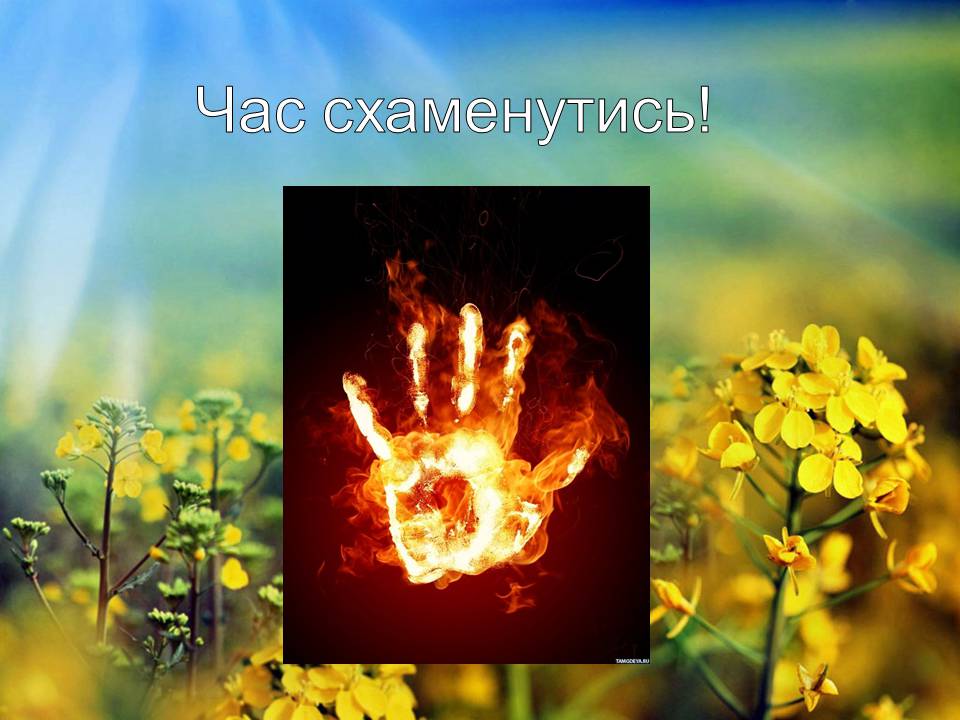 Презентація на тему «Глобальні екологічні проблеми сучасності» (варіант 2) - Слайд #10 Презентація на тему «Глобальні екологічні проблеми сучасності» (варіант 2) - Слайд #10