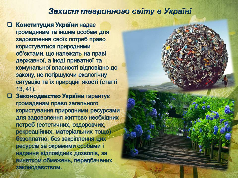 Презентація на тему «Глобальні екологічні проблеми сучасності» (варіант 2) - Слайд #8 Презентація на тему «Глобальні екологічні проблеми сучасності» (варіант 2) - Слайд #8