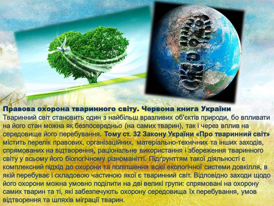 Презентація на тему «Глобальні екологічні проблеми сучасності» (варіант 2) - Слайд #9 Презентація на тему «Глобальні екологічні проблеми сучасності» (варіант 2) - Слайд #9