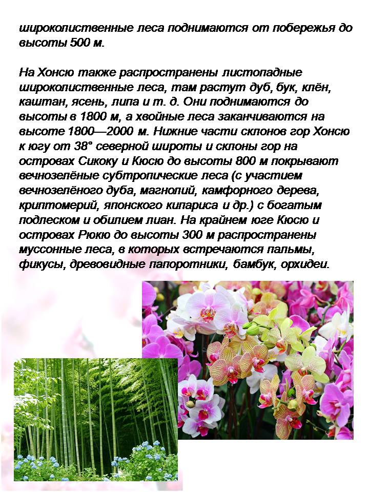 Презентація на тему «Японія» (варіант 60) - Слайд #10 Презентація на тему «Японія» (варіант 60) - Слайд #10