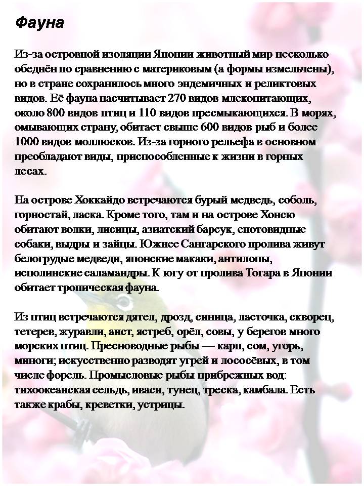 Презентація на тему «Японія» (варіант 60) - Слайд #11 Презентація на тему «Японія» (варіант 60) - Слайд #11