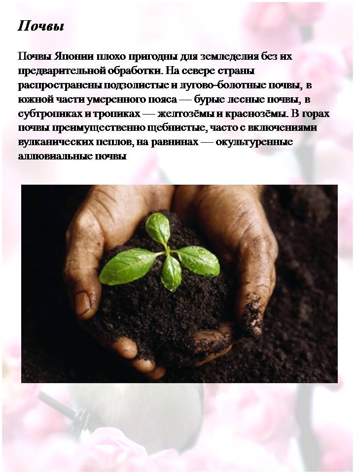 Презентація на тему «Японія» (варіант 60) - Слайд #12 Презентація на тему «Японія» (варіант 60) - Слайд #12