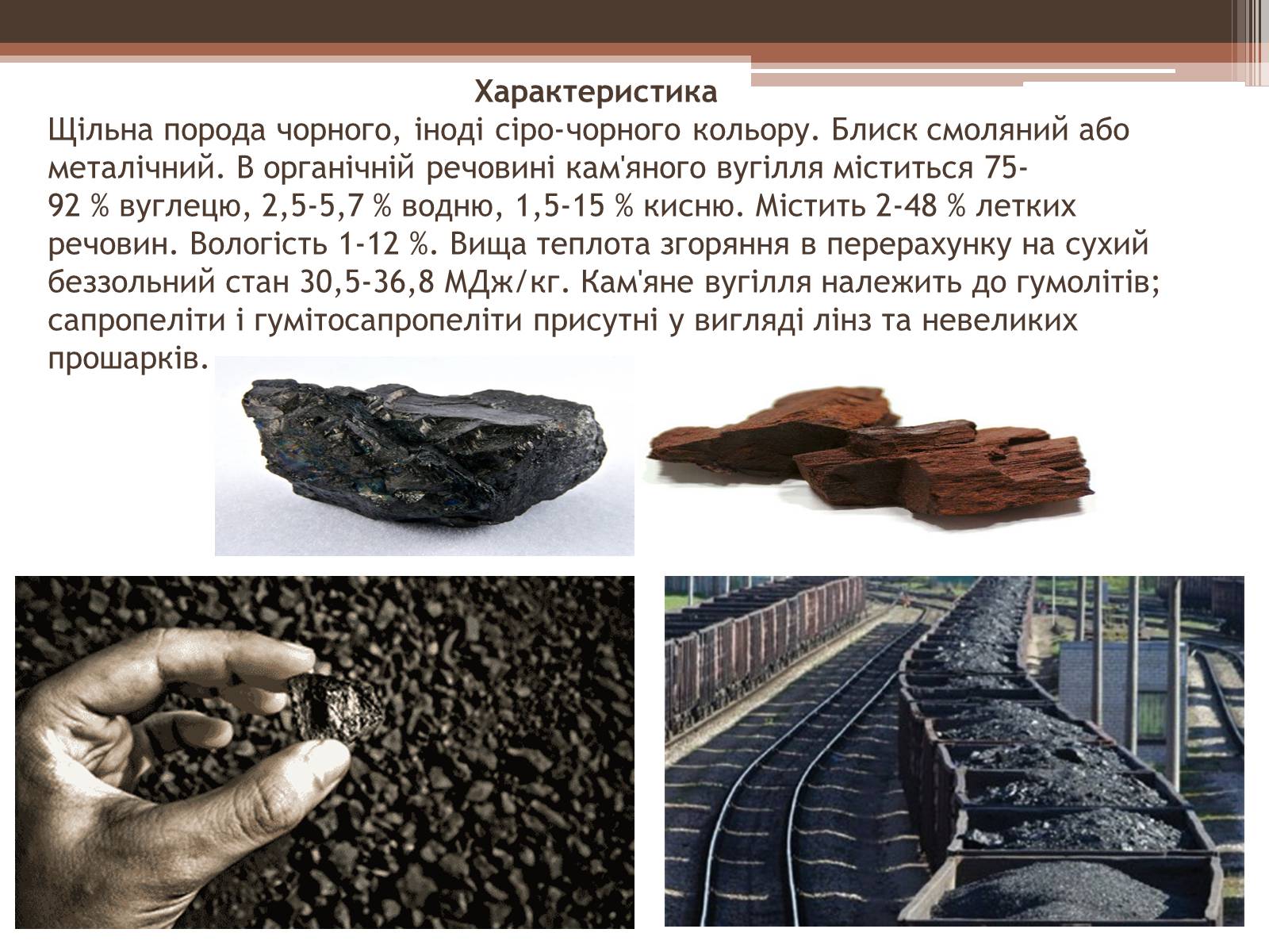 Презентація на тему «Кам’яне вугілля» (варіант 7) - Слайд #3 Презентація на тему «Кам’яне вугілля» (варіант 7) - Слайд #3