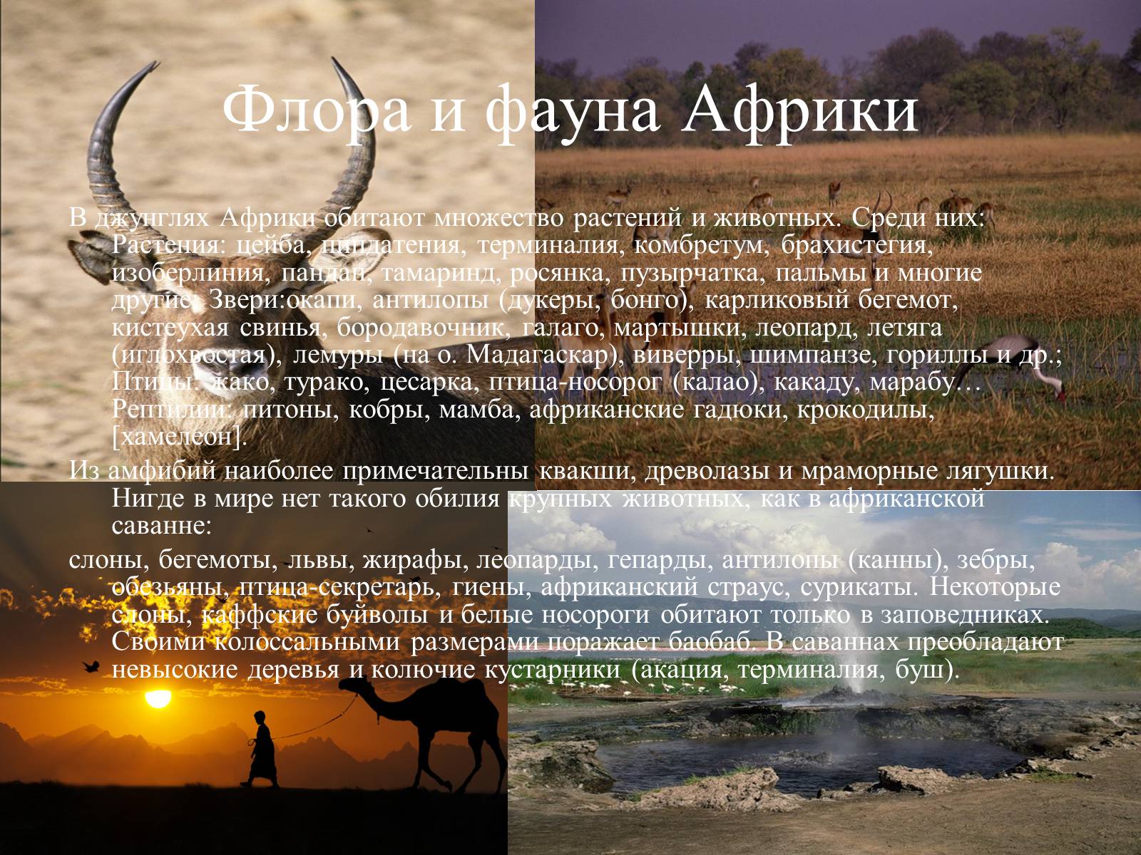 Презентація на тему «Африка» (варіант 17) - Слайд #6 Презентація на тему «Африка» (варіант 17) - Слайд #6