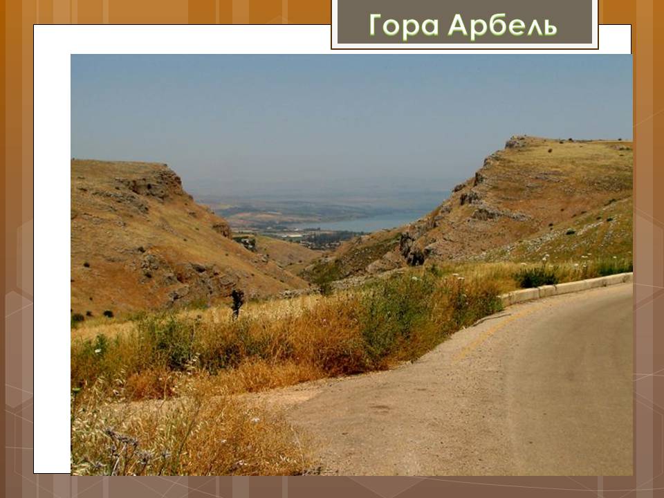 Презентація на тему «Ізраїльська держава» - Слайд #14 Презентація на тему «Ізраїльська держава» - Слайд #14