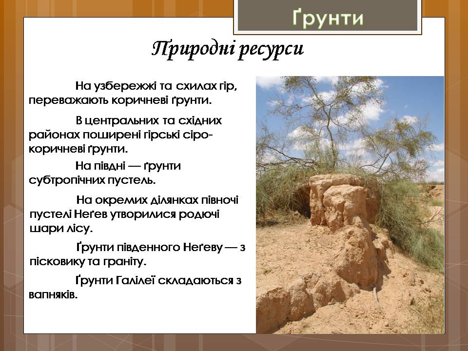 Презентація на тему «Ізраїльська держава» - Слайд #28 Презентація на тему «Ізраїльська держава» - Слайд #28