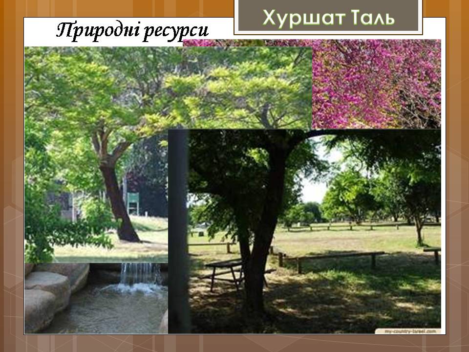 Презентація на тему «Ізраїльська держава» - Слайд #39 Презентація на тему «Ізраїльська держава» - Слайд #39