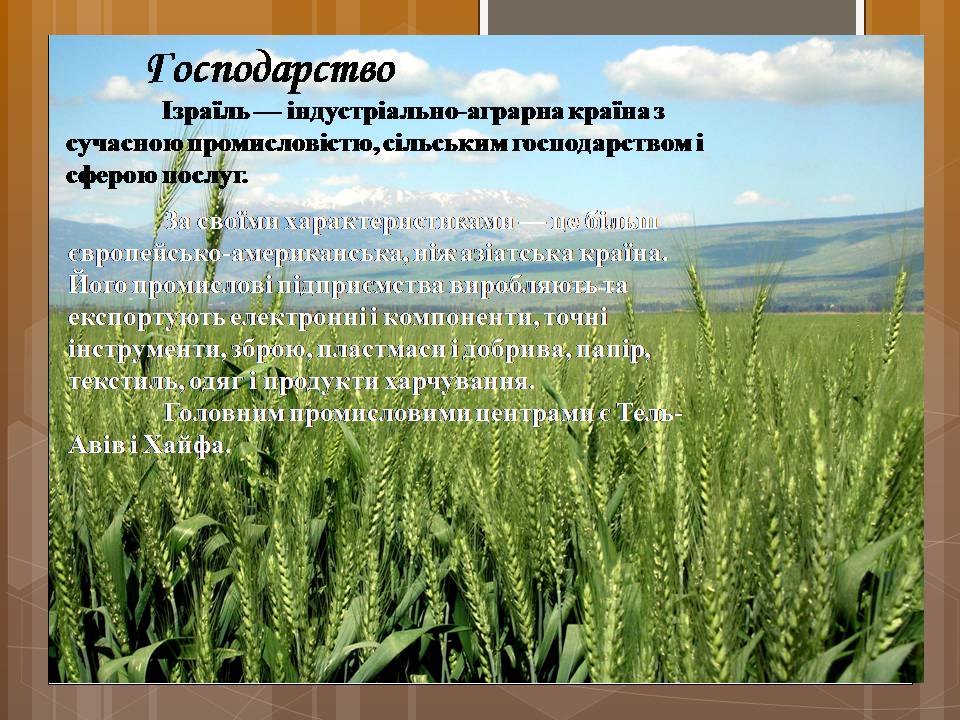 Презентація на тему «Ізраїльська держава» - Слайд #50 Презентація на тему «Ізраїльська держава» - Слайд #50