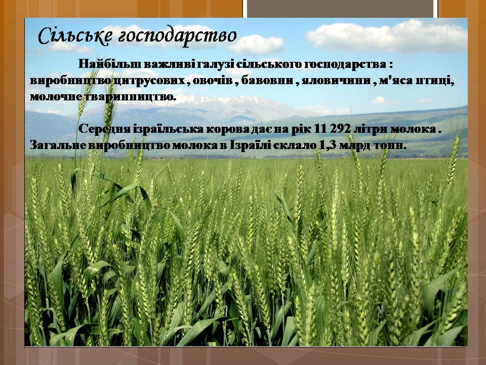 Презентація на тему «Ізраїльська держава» - Слайд #51 Презентація на тему «Ізраїльська держава» - Слайд #51