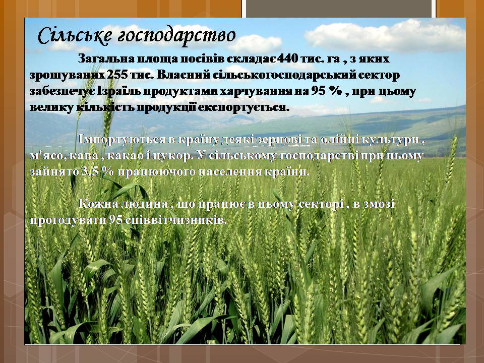 Презентація на тему «Ізраїльська держава» - Слайд #52 Презентація на тему «Ізраїльська держава» - Слайд #52