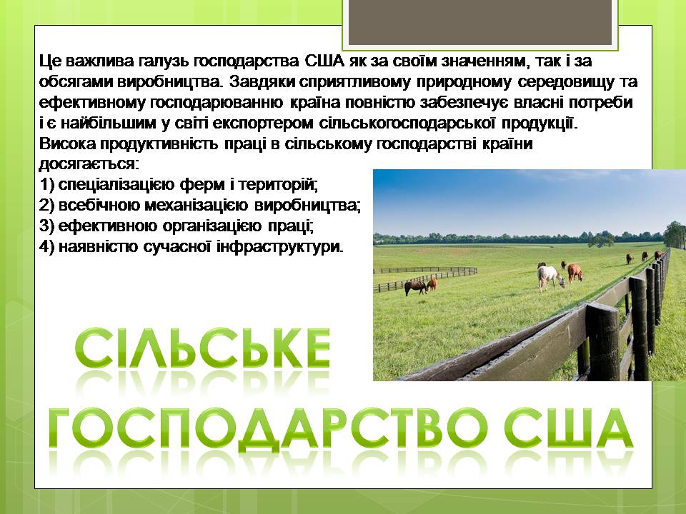Презентація на тему «Сполучені Штати Америки» (варіант 16) - Слайд #10 Презентація на тему «Сполучені Штати Америки» (варіант 16) - Слайд #10