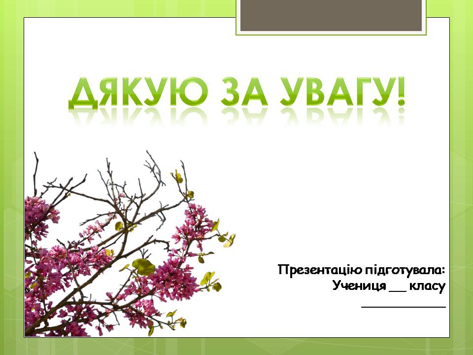 Презентація на тему «Сполучені Штати Америки» (варіант 16) - Слайд #16 Презентація на тему «Сполучені Штати Америки» (варіант 16) - Слайд #16