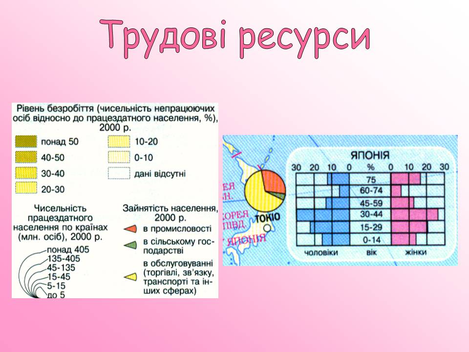 Презентація на тему «Японія» (варіант 52) - Слайд #14 Презентація на тему «Японія» (варіант 52) - Слайд #14