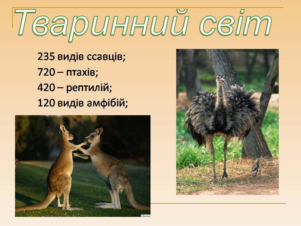 Презентація на тему «Австралія» (варіант 25) - Слайд #8 Презентація на тему «Австралія» (варіант 25) - Слайд #8
