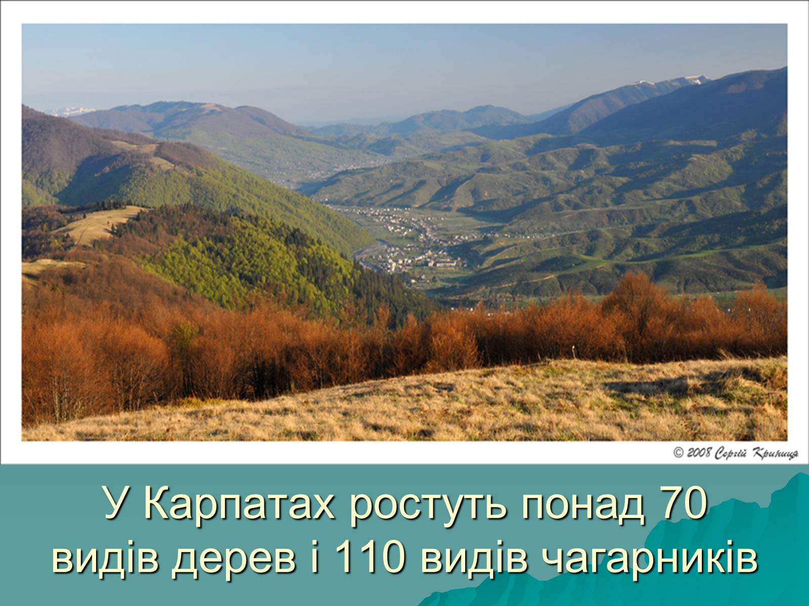 Презентація на тему «Українські Карпати» (варіант 5) - Слайд #18 Презентація на тему «Українські Карпати» (варіант 5) - Слайд #18