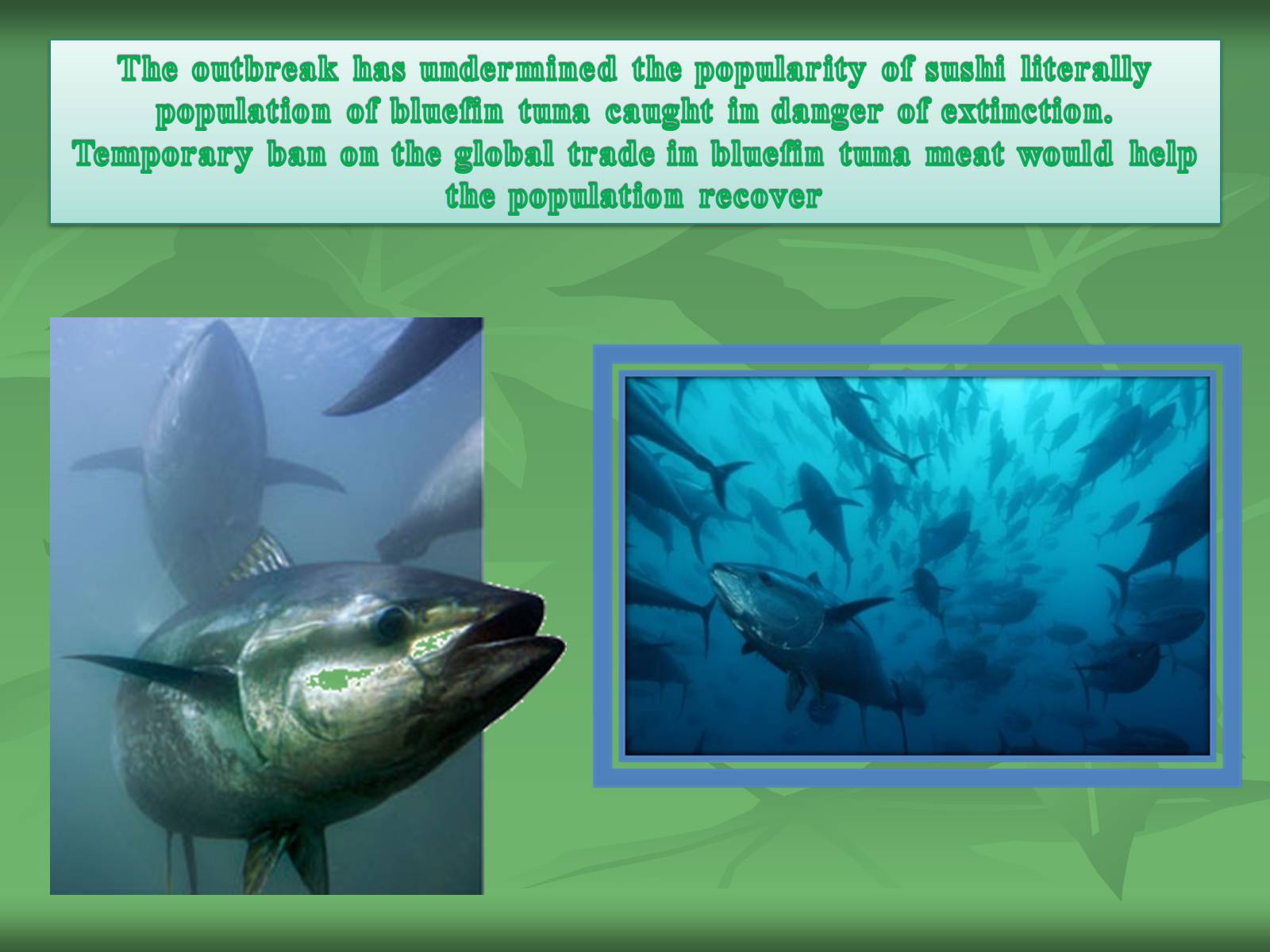 Презентація на тему «Green movement in the world» - Слайд #21 Презентація на тему «Green movement in the world» - Слайд #21