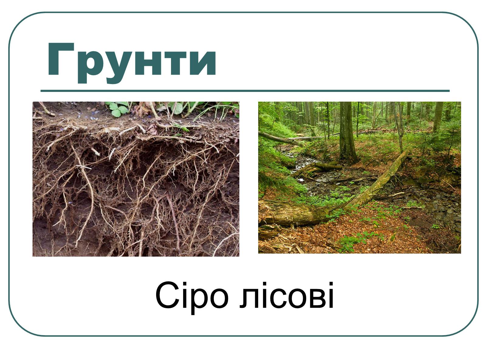 Презентація на тему «Подільський економічний район» (варіант 3) - Слайд #8 Презентація на тему «Подільський економічний район» (варіант 3) - Слайд #8