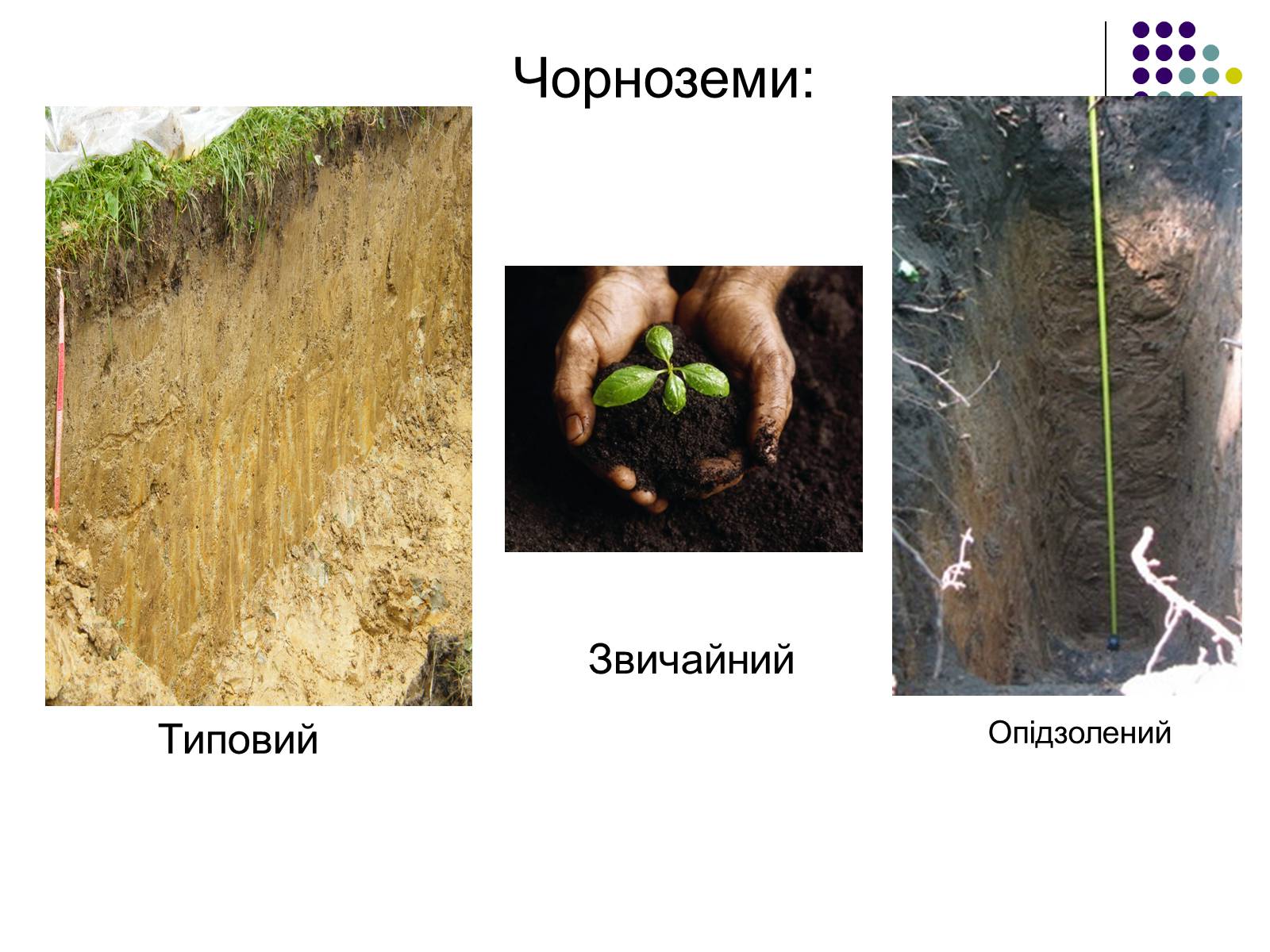 Презентація на тему «Подільський економічний район» (варіант 3) - Слайд #9 Презентація на тему «Подільський економічний район» (варіант 3) - Слайд #9