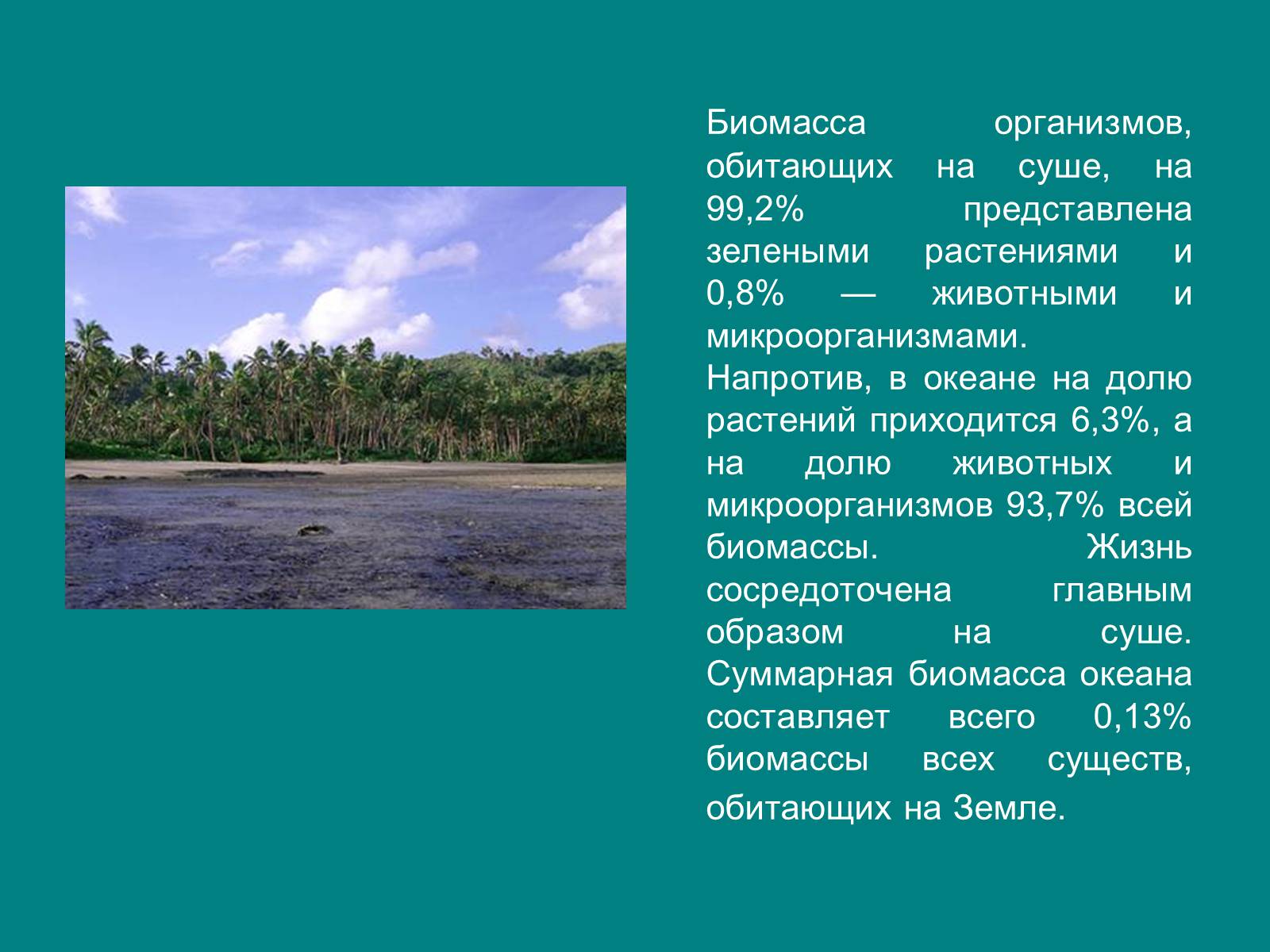 Презентація на тему «Структура биосферы» (варіант 1) - Слайд #14 Презентація на тему «Структура биосферы» (варіант 1) - Слайд #14