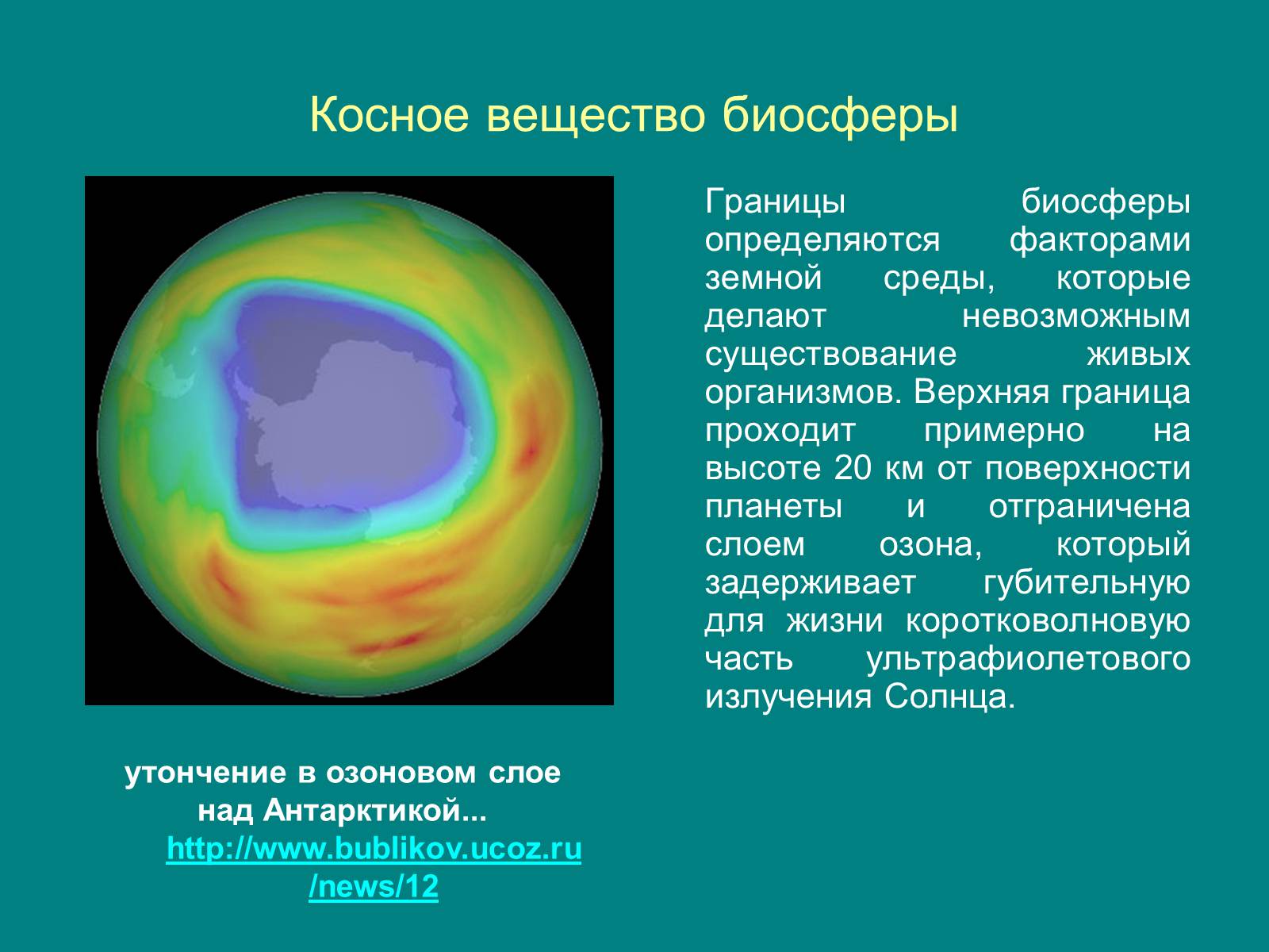 Презентація на тему «Структура биосферы» (варіант 1) - Слайд #4 Презентація на тему «Структура биосферы» (варіант 1) - Слайд #4