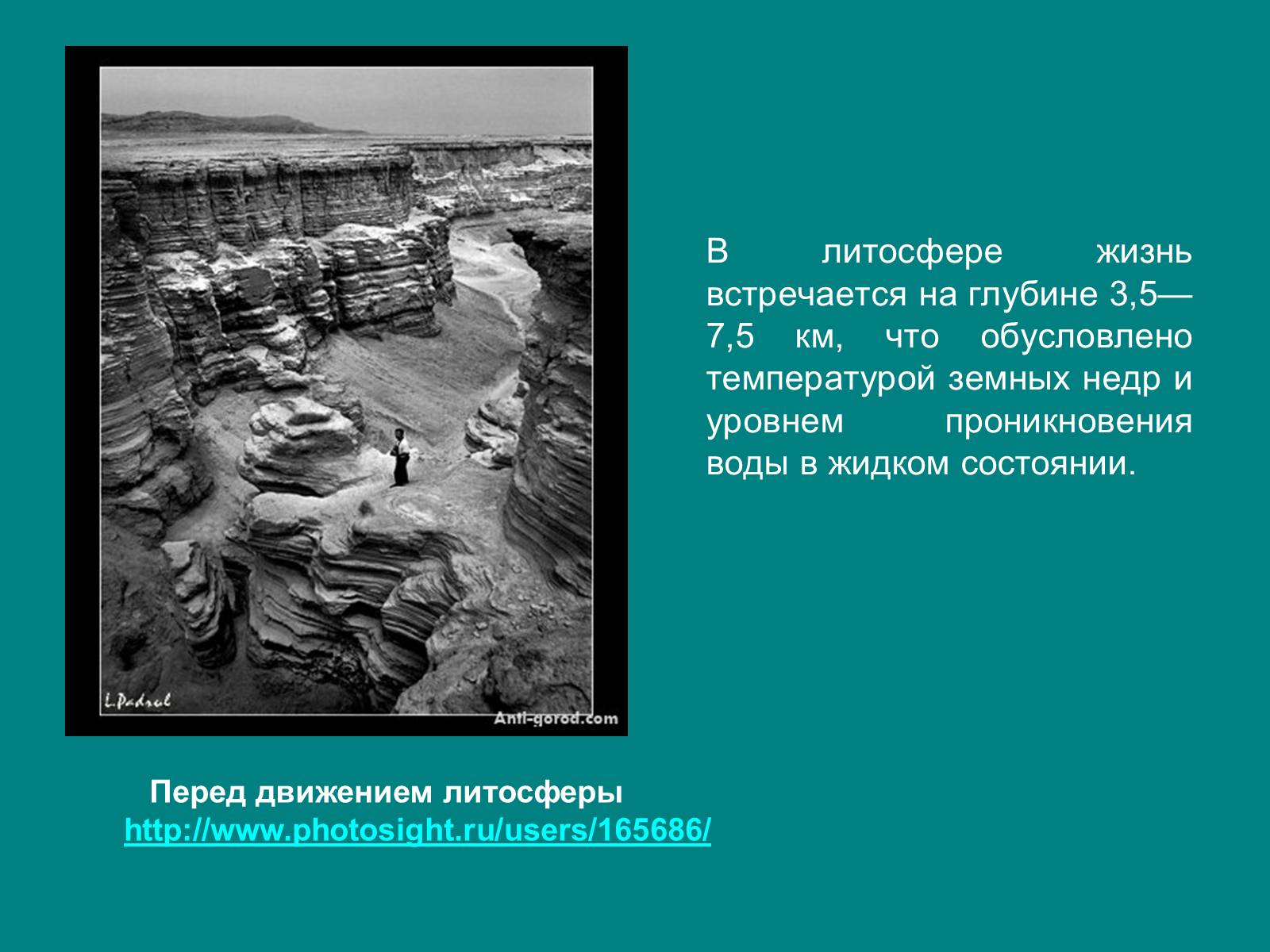 Презентація на тему «Структура биосферы» (варіант 1) - Слайд #6 Презентація на тему «Структура биосферы» (варіант 1) - Слайд #6